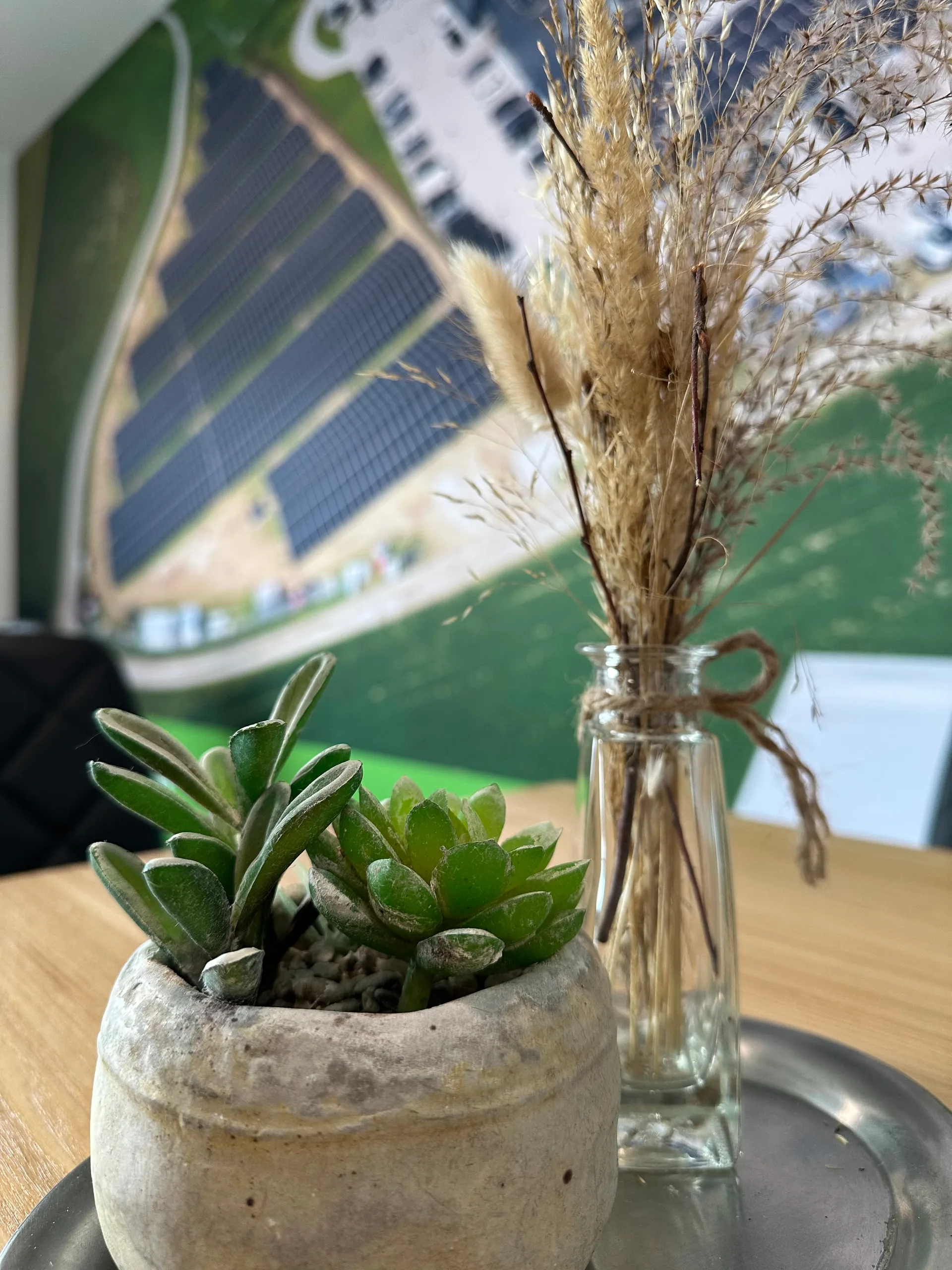 Lounge: Tisch mit Pflanzen vor dem Wandbild mit dem Photovoltaikfeld